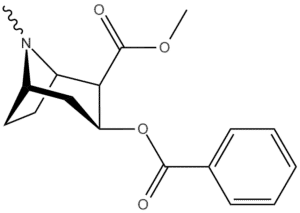 Benzoylmethylecgonine